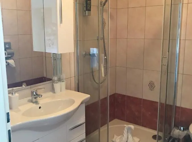 Hotel-restaurant Zum Donaueck ホテル